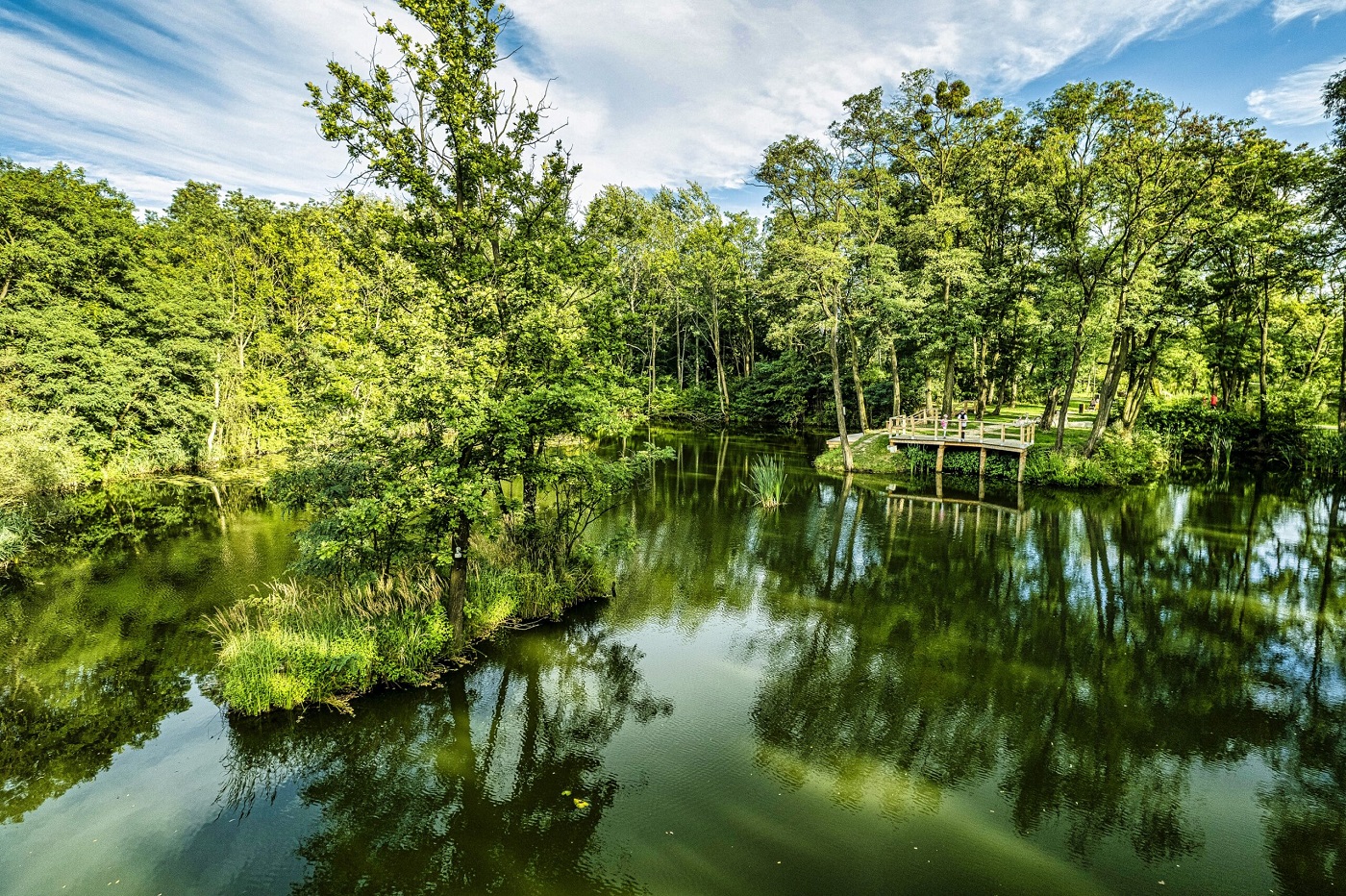 Zabrzańskie obiekty startują w konkursie "Modernizacja i Budowa XXI w." – oddaj swój głos!