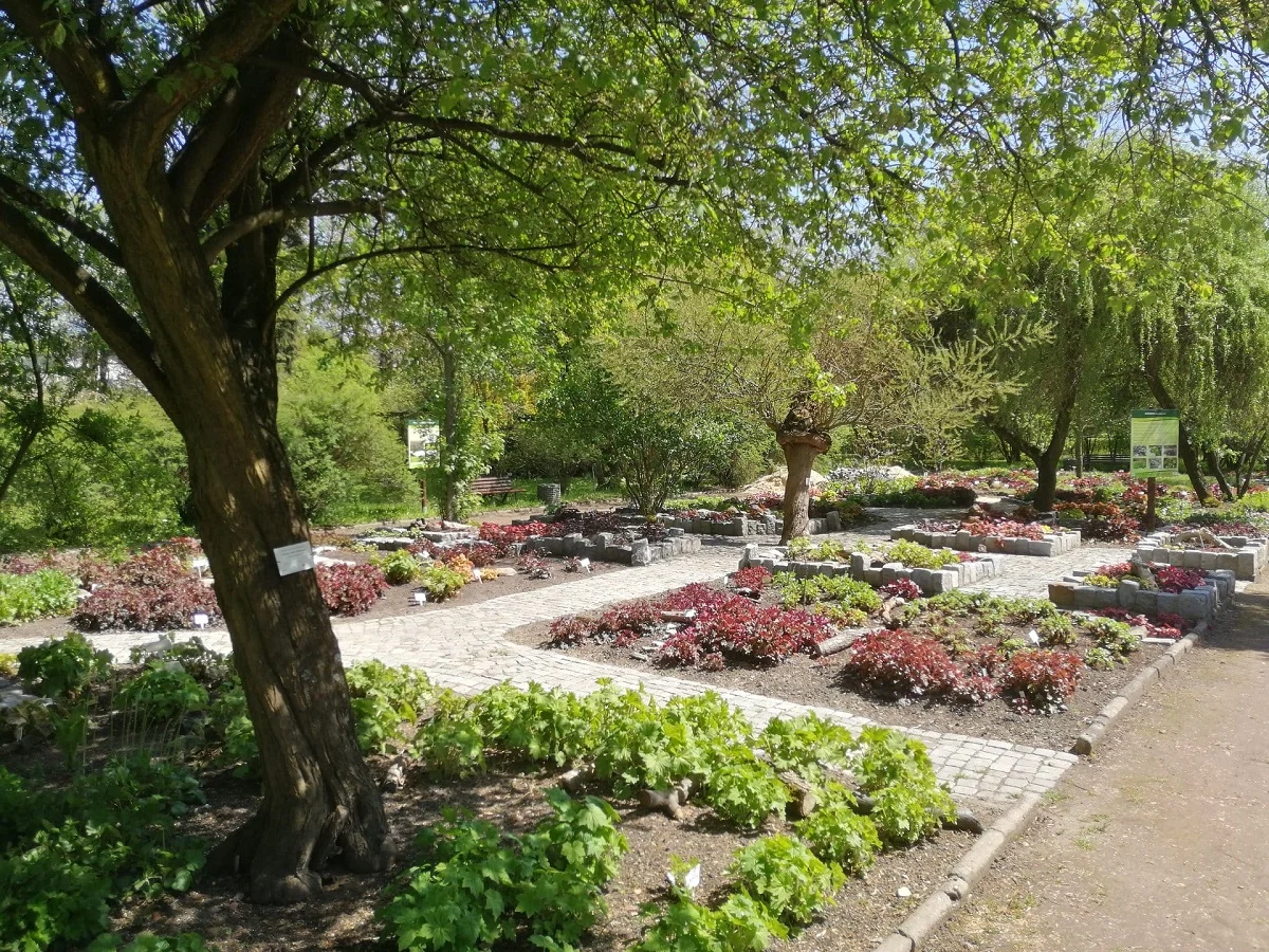 Botaniczna Scena Premier na otwarcie nowego sezonu w Miejskim Ogrodzie Botanicznym!