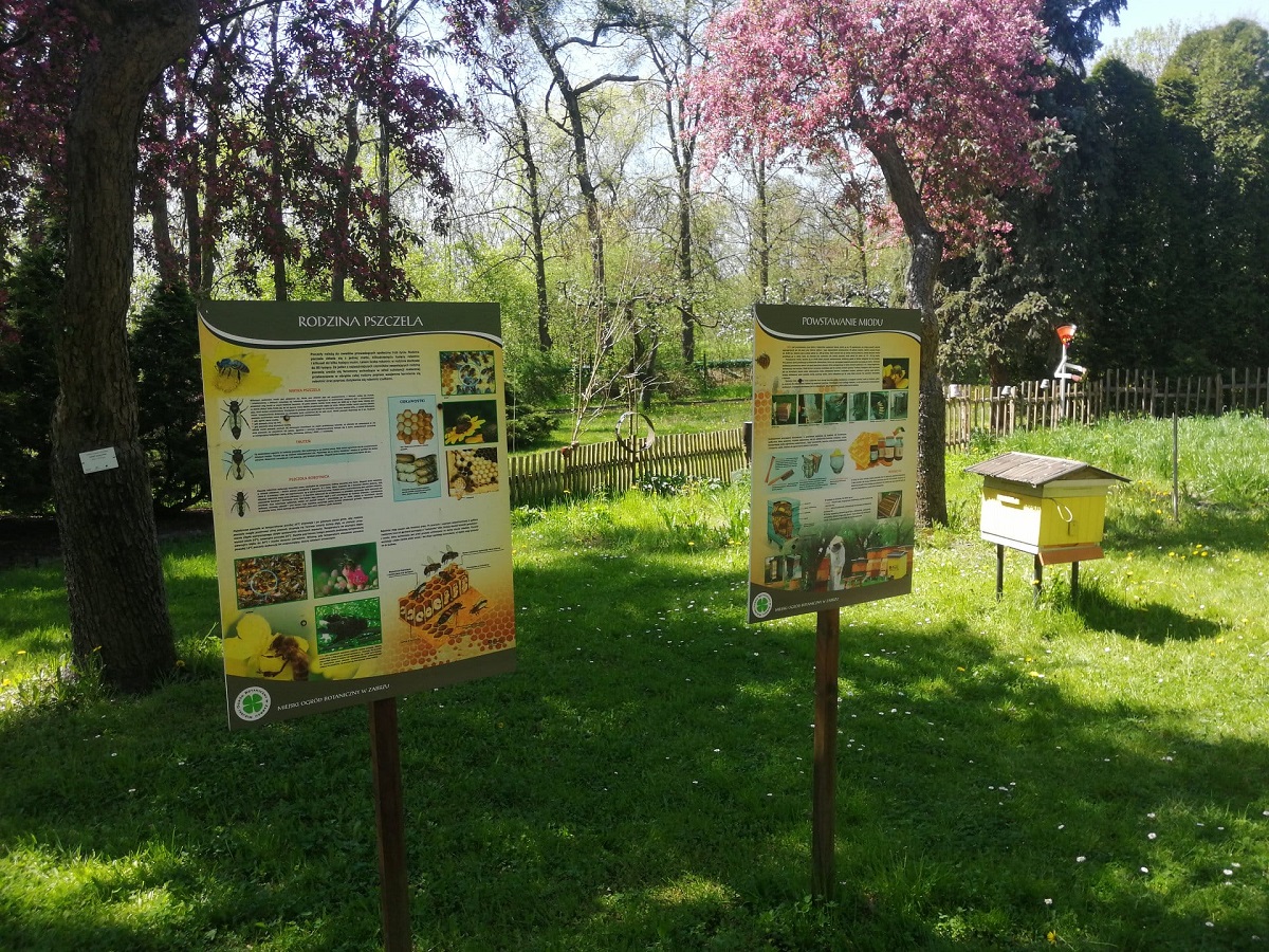Botaniczna Scena Premier na otwarcie nowego sezonu w Miejskim Ogrodzie Botanicznym!