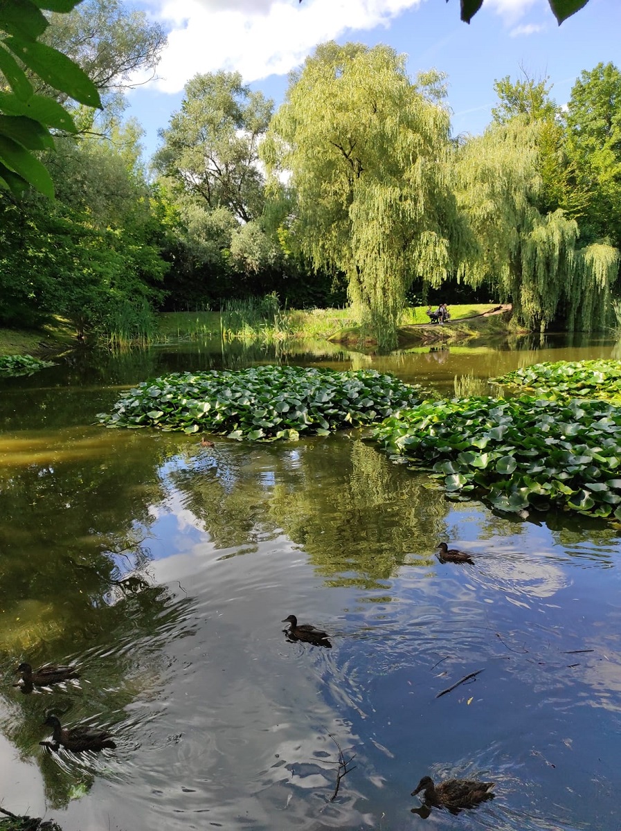 Botaniczna Scena Premier na otwarcie nowego sezonu w Miejskim Ogrodzie Botanicznym!