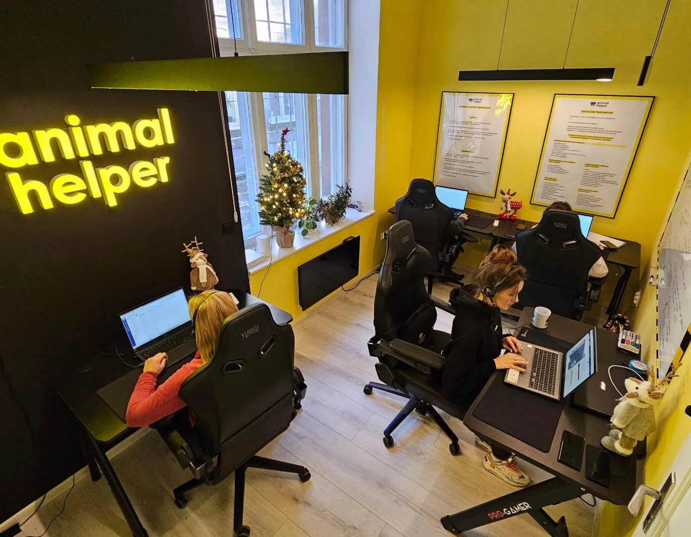 W Śląskiem działa już aplikacja Animal Helper app. Co to?