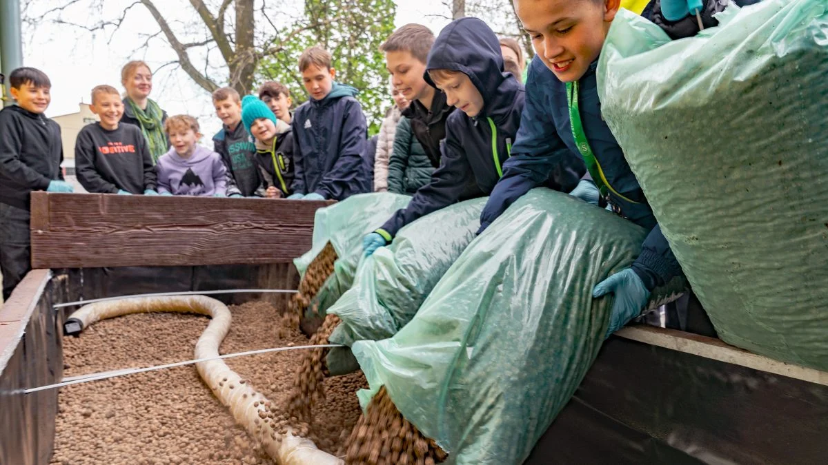 Zapobiegają lokalnym suszom i podtopieniom. GZM pokazuje, jak zakładać ogrody deszczowe