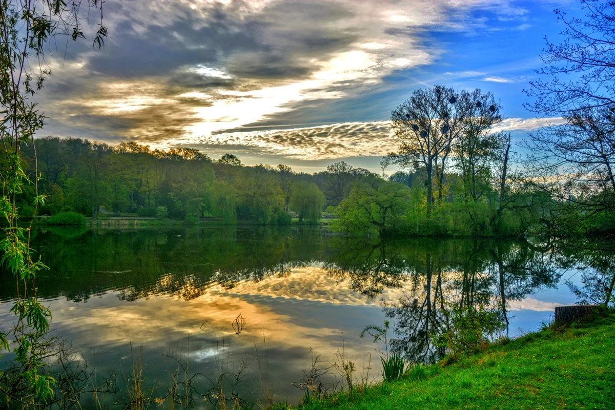Wiosna zawitała do Parku Śląskiego! Zobaczcie, jak jest pięknie! [ZDJĘCIA]