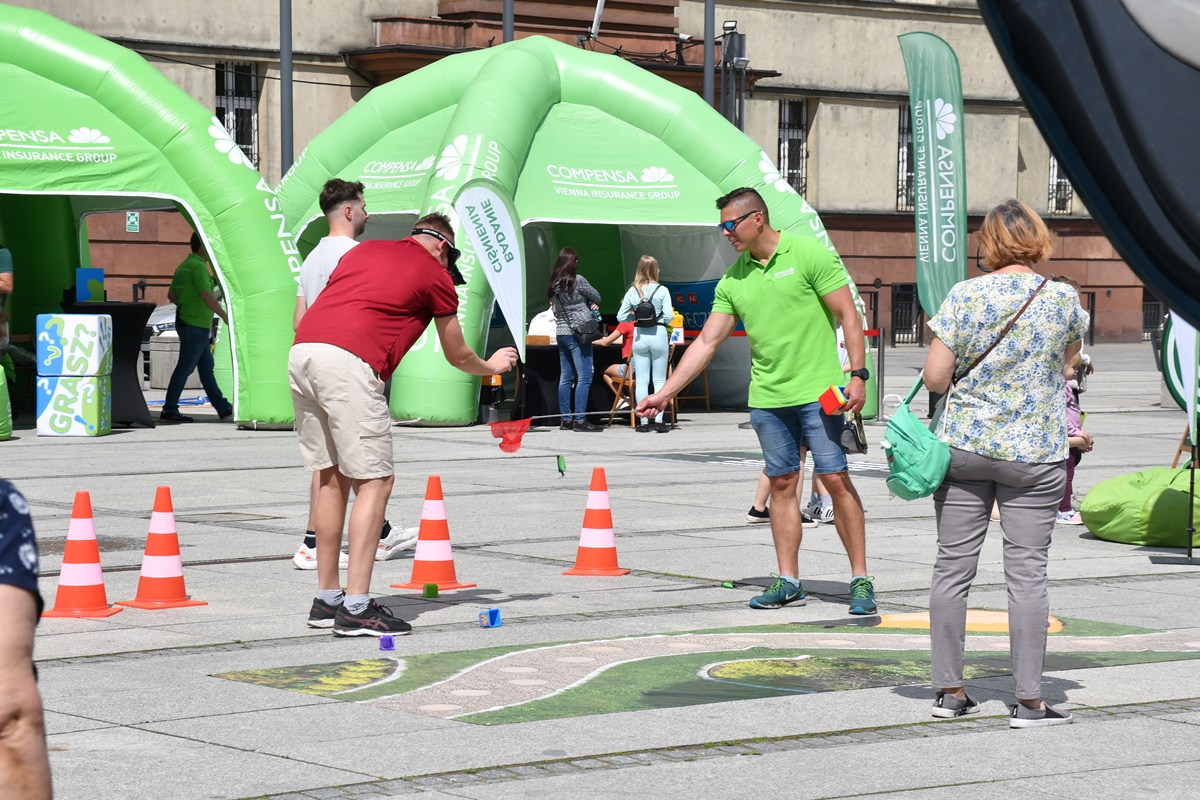 Strefa Bezpieczeństwa Compensy 46