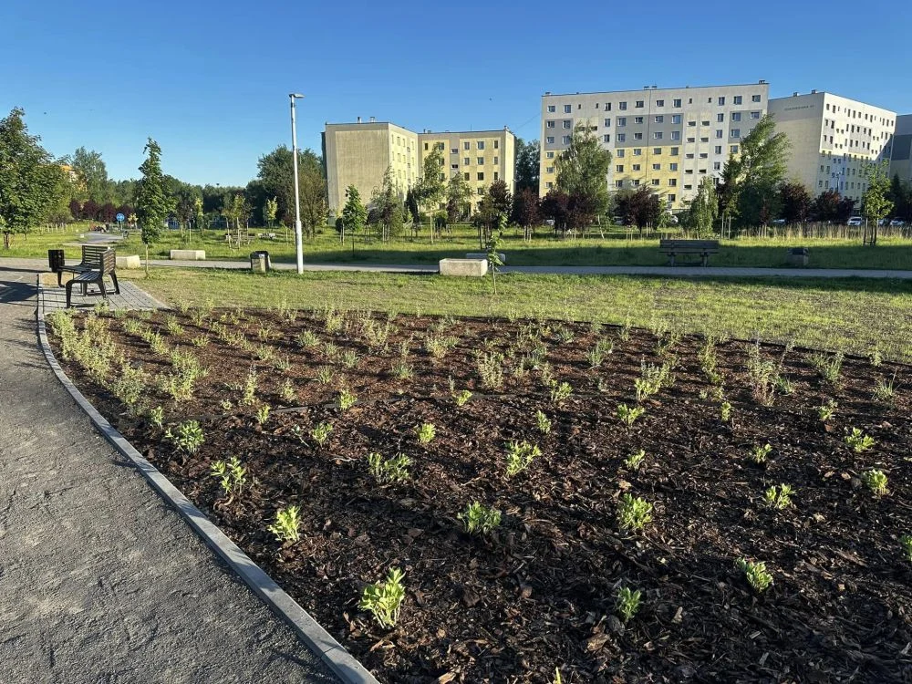 W Bykowinie powstaje wyczekiwany przez mieszkańców Eko-Park