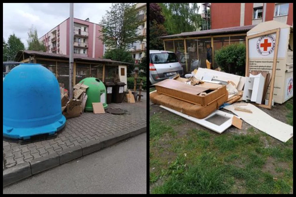 Śmieci i szczury przy śmietniku na ulicy Podlas 20. Mieszkańcy proszą o interwencję