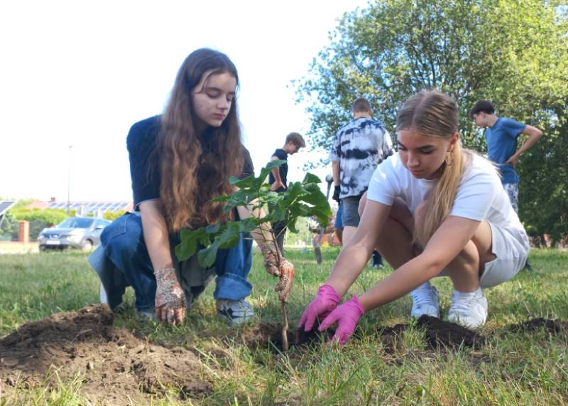 Zakończenie szkoły na zielono. Uczniowie posadzili drzewa