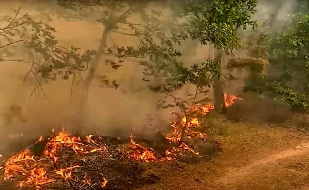 Jak zapobiegać pożarom? Kluczowe zasady bezpieczeństwa