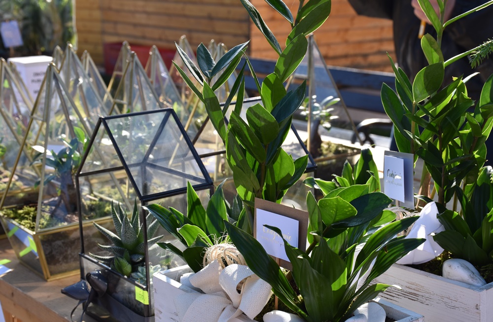 Wodzisław Śląski: Ekologiczny event zawita na rynek 18 maja