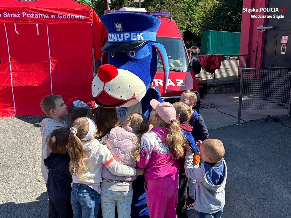 Dni Otwartych Strażnic w Rydułtowach i Wodzisławiu