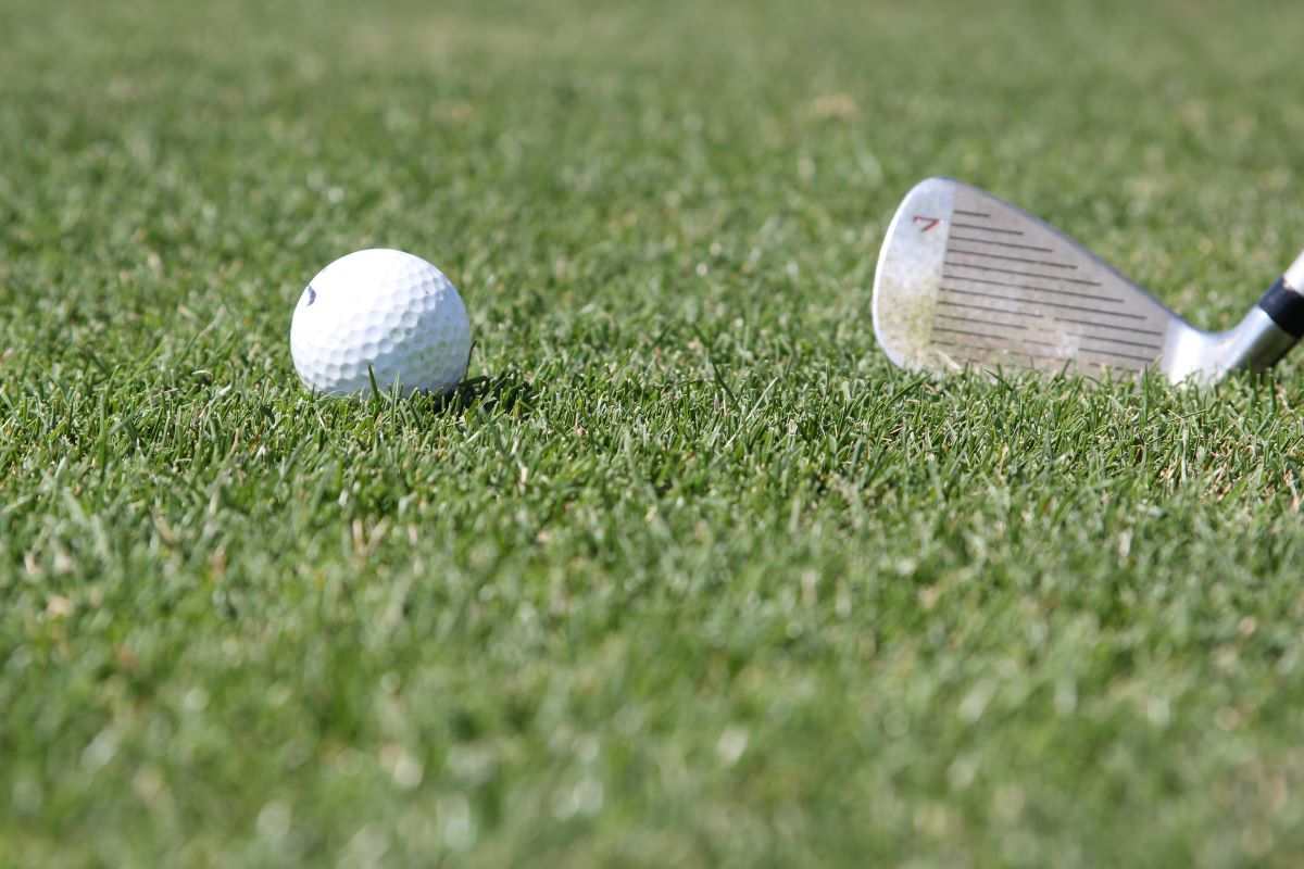 Zagraj w golfa w Tychach!
