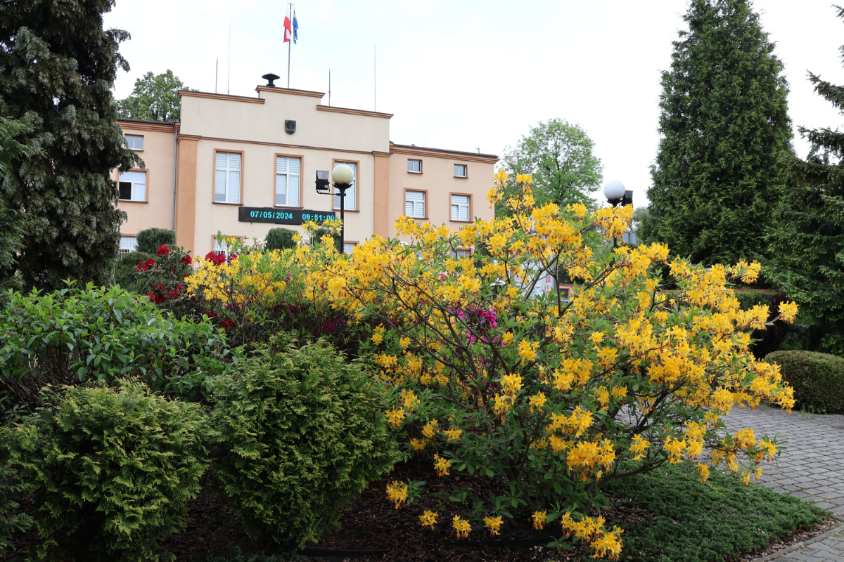 Burmistrz i radni złożą ślubowanie