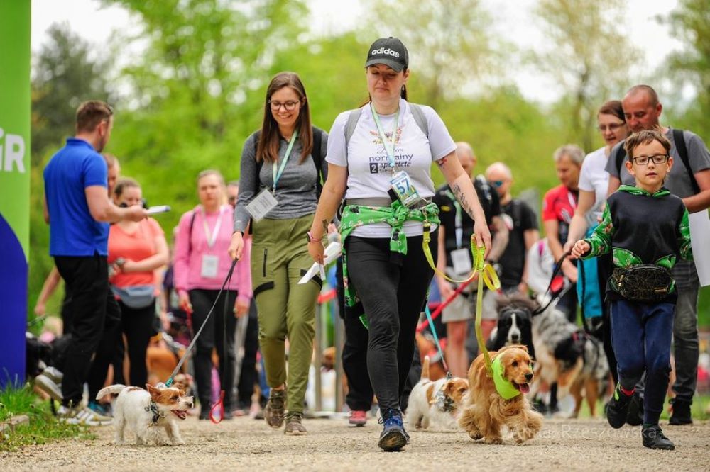 Pierwszy dogtrekking w Rybniku za nami!