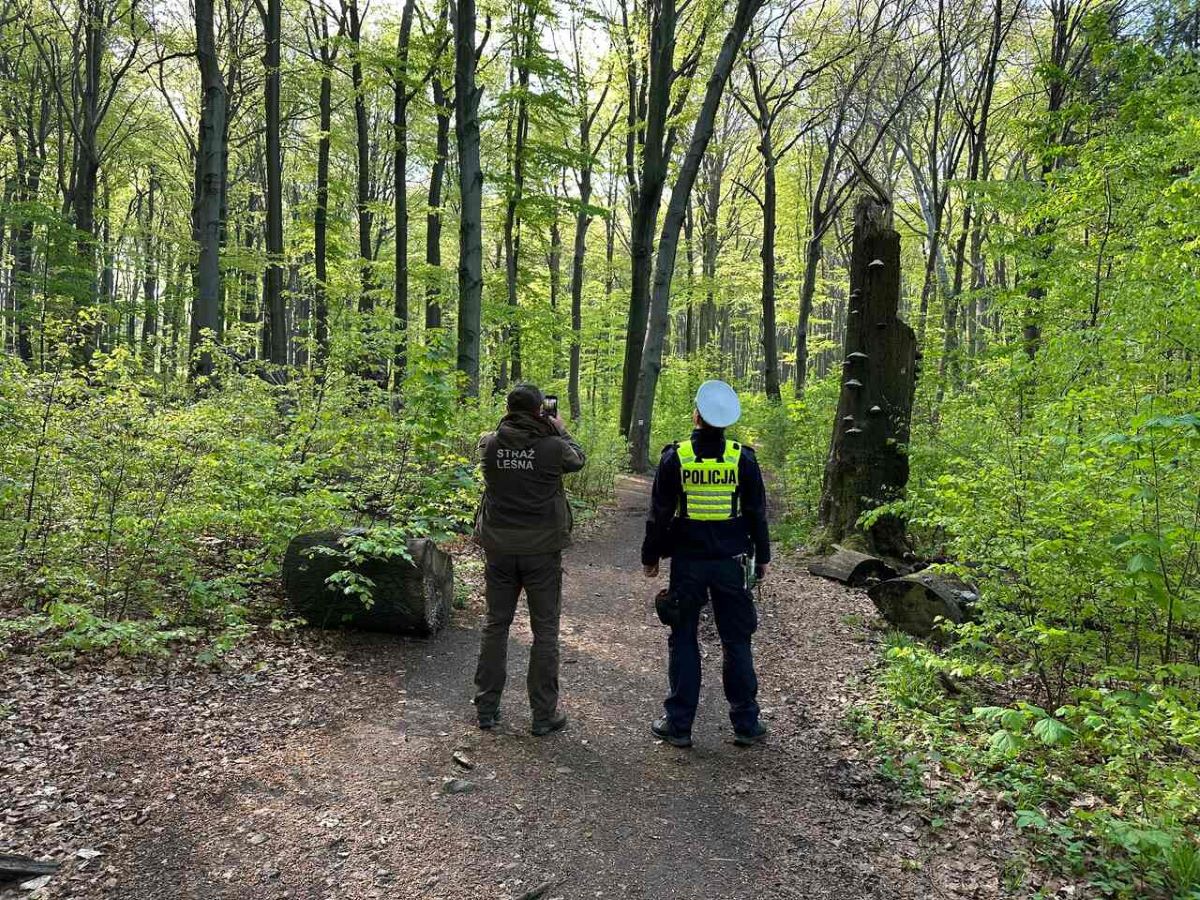 Rowerzyści niszczą rezerwat Segiet