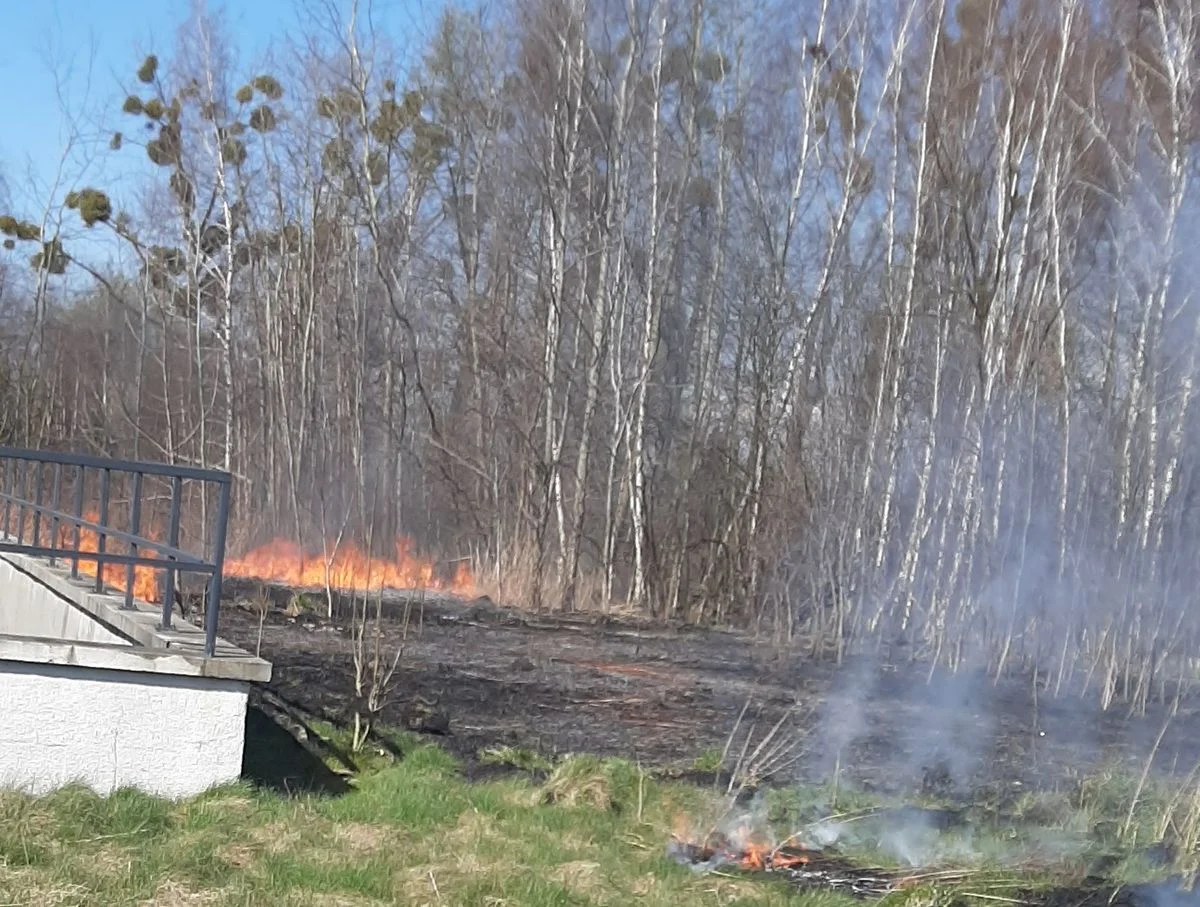 Bytomscy policjanci o pożarach - jak reagować?