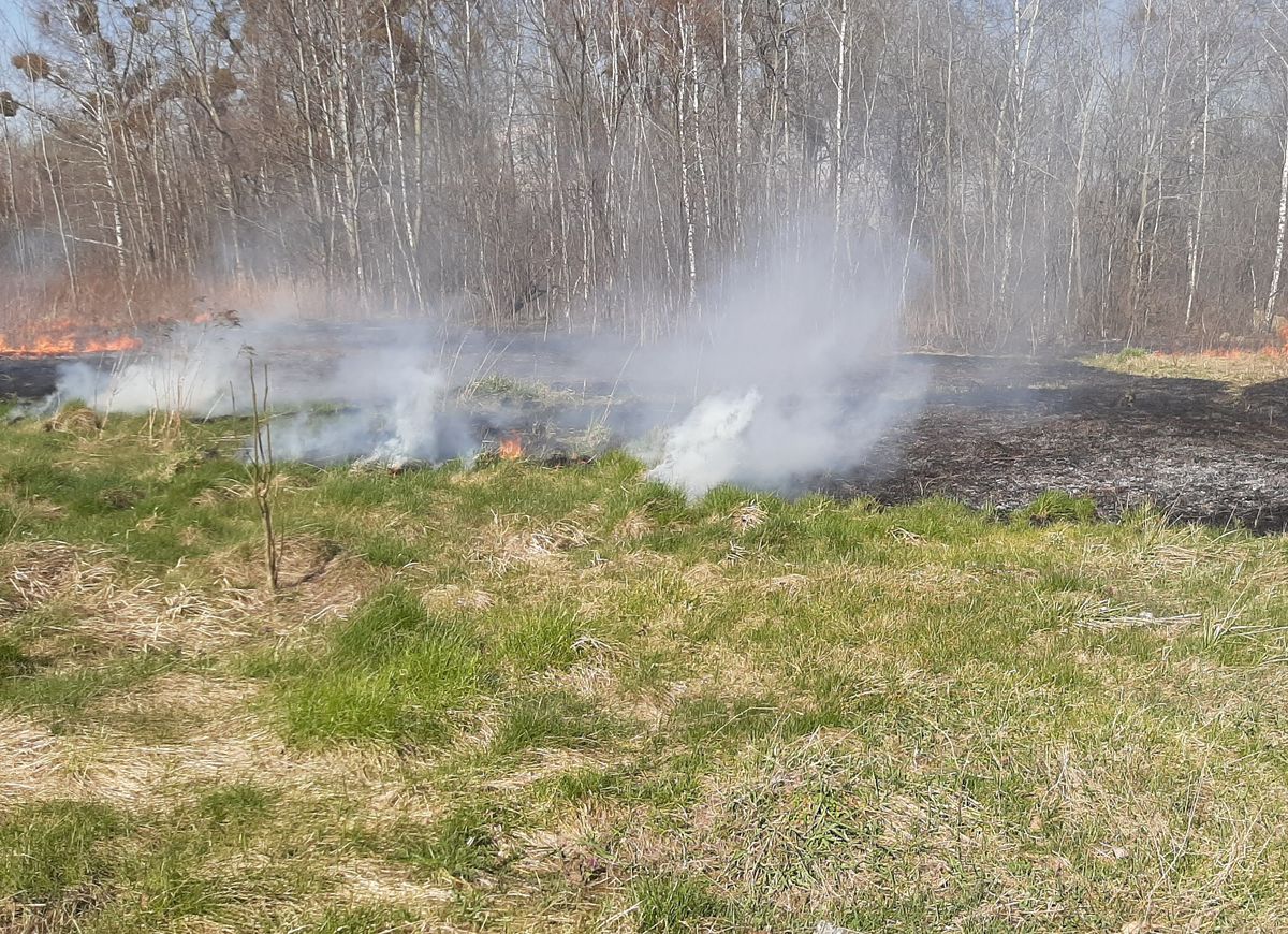 Bytomscy policjanci o pożarach - jak reagować?