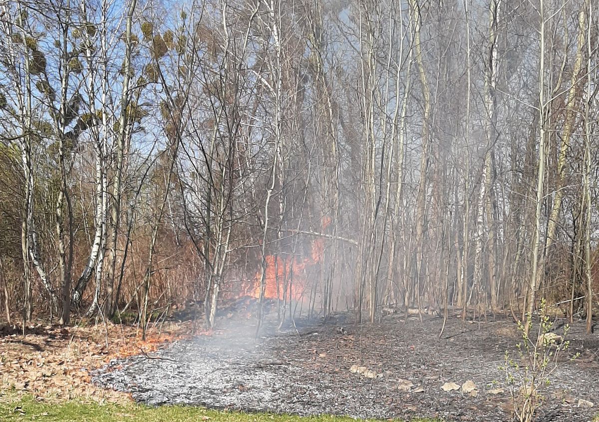 Bytomscy policjanci o pożarach - jak reagować?