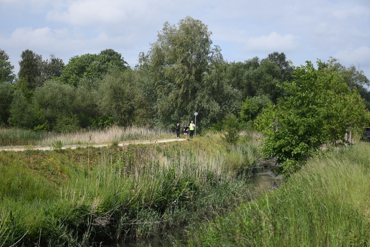 Zawody w biegu na orientację w ramach obchodów 770-lecia miasta