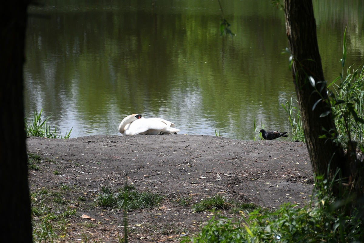 Zawody w biegu na orientację w ramach obchodów 770-lecia miasta