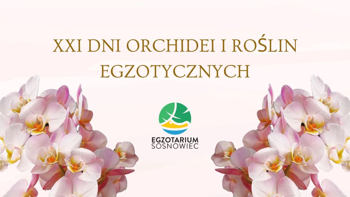 XXI Dni Orchidei i Roślin Egzotycznych od 10 do 12 maja w Egzotarium!