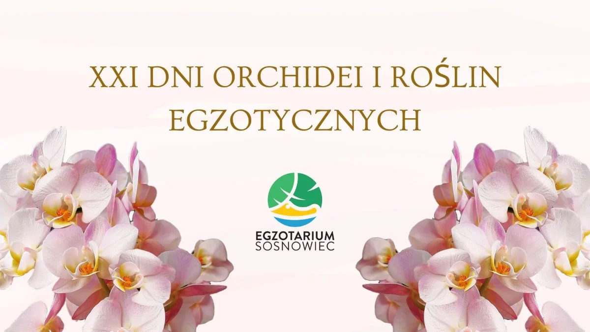 XXI Dni Orchidei i Roślin Egzotycznych od 10 do 12 maja w Egzotarium!