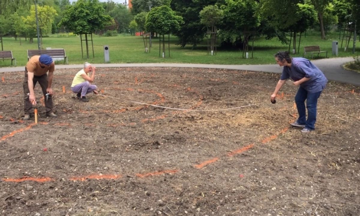 Powstanie kwitnący labirynt w ZSS nr 4 w Sosnowcu!