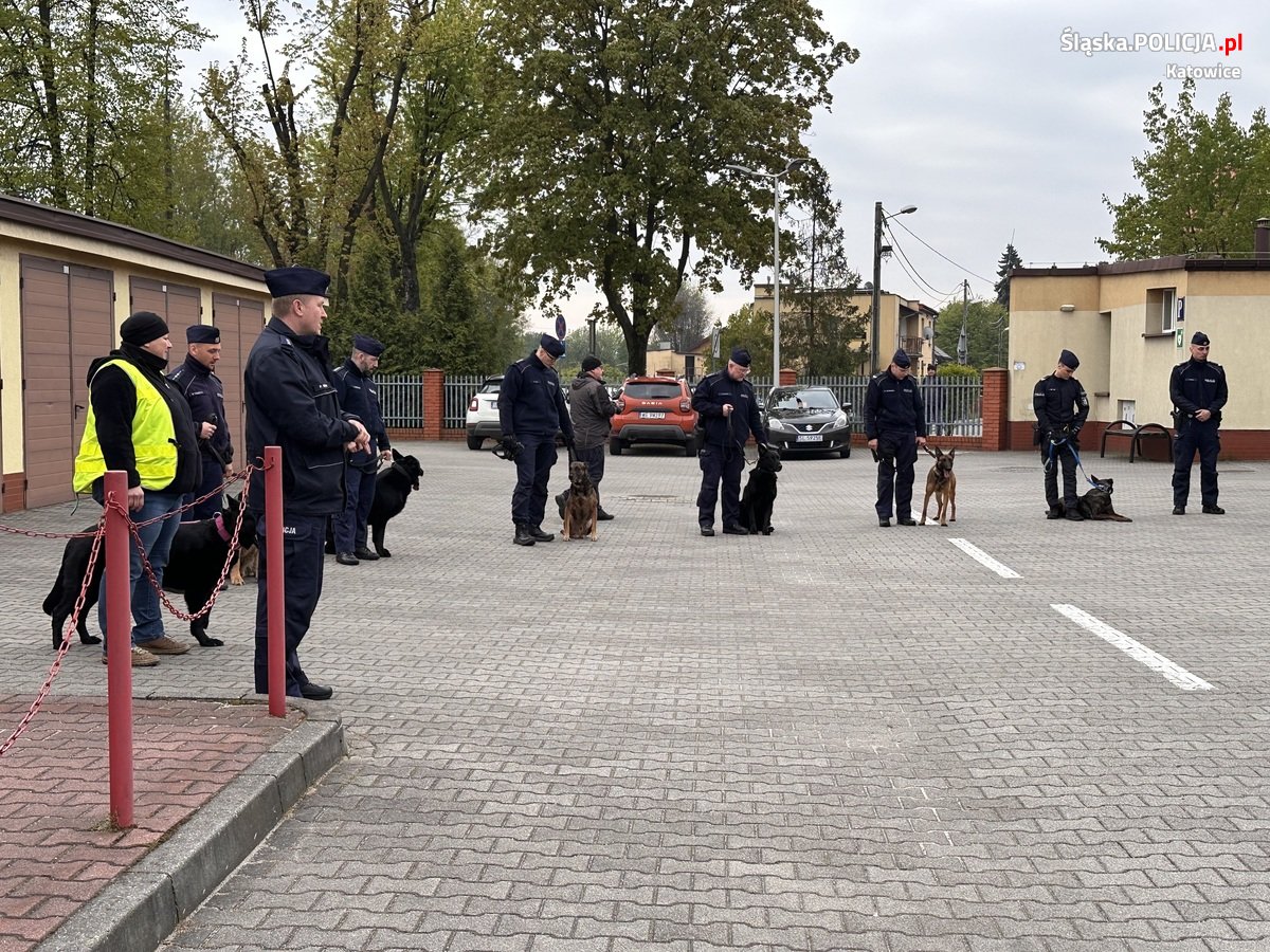 Katowiccy przewodnicy psów z pokazem w Szkole Policji 40