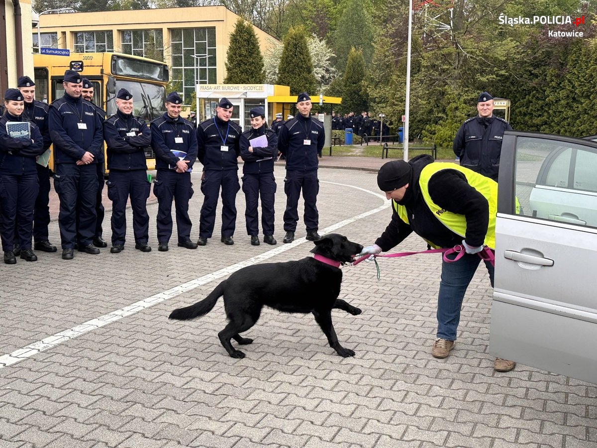 Katowiccy przewodnicy psów z pokazem w Szkole Policji 43