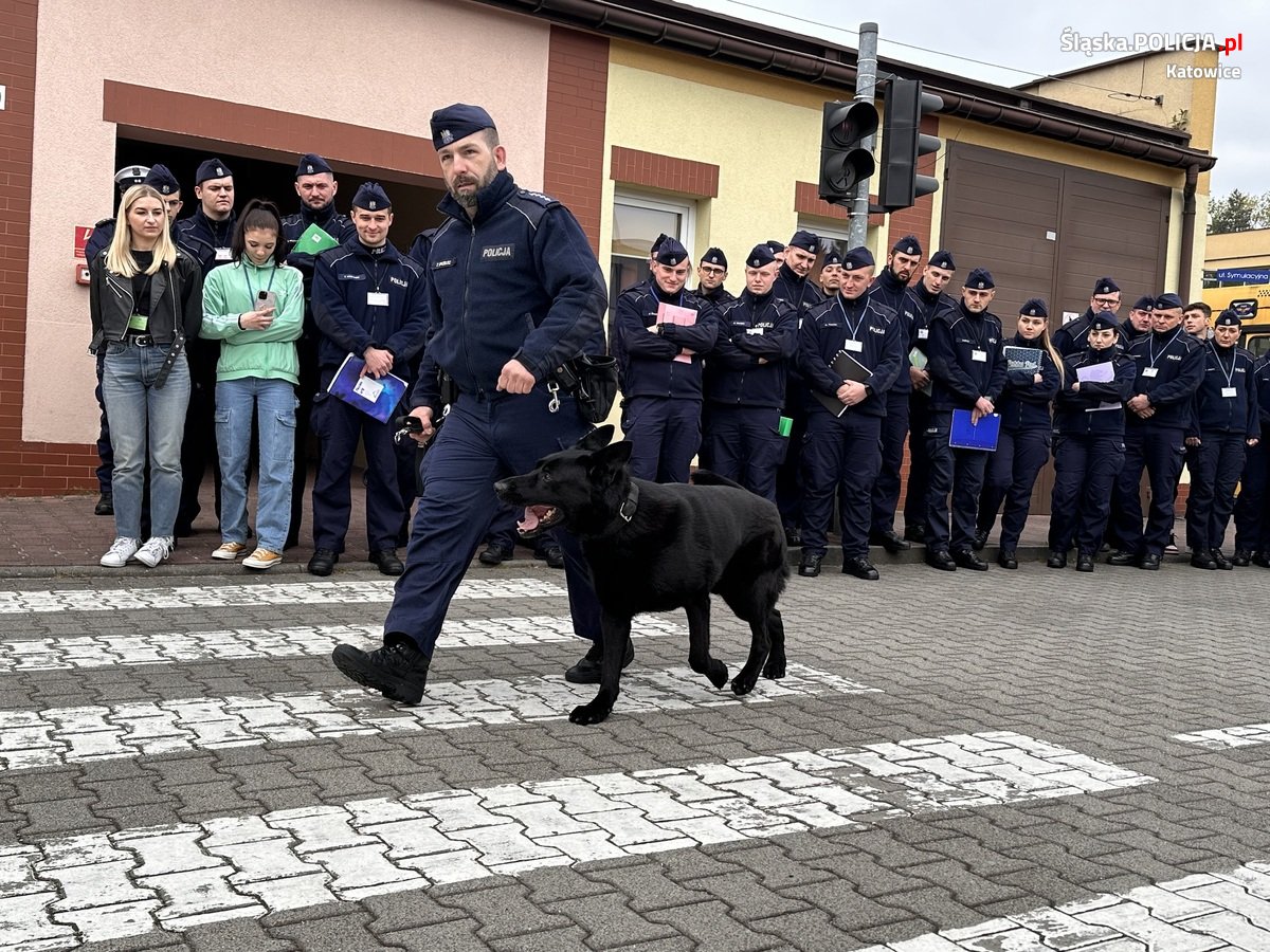 Katowiccy przewodnicy psów z pokazem w Szkole Policji 45