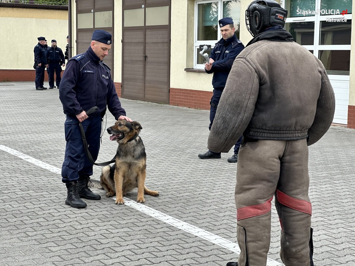 Katowiccy przewodnicy psów z pokazem w Szkole Policji 46