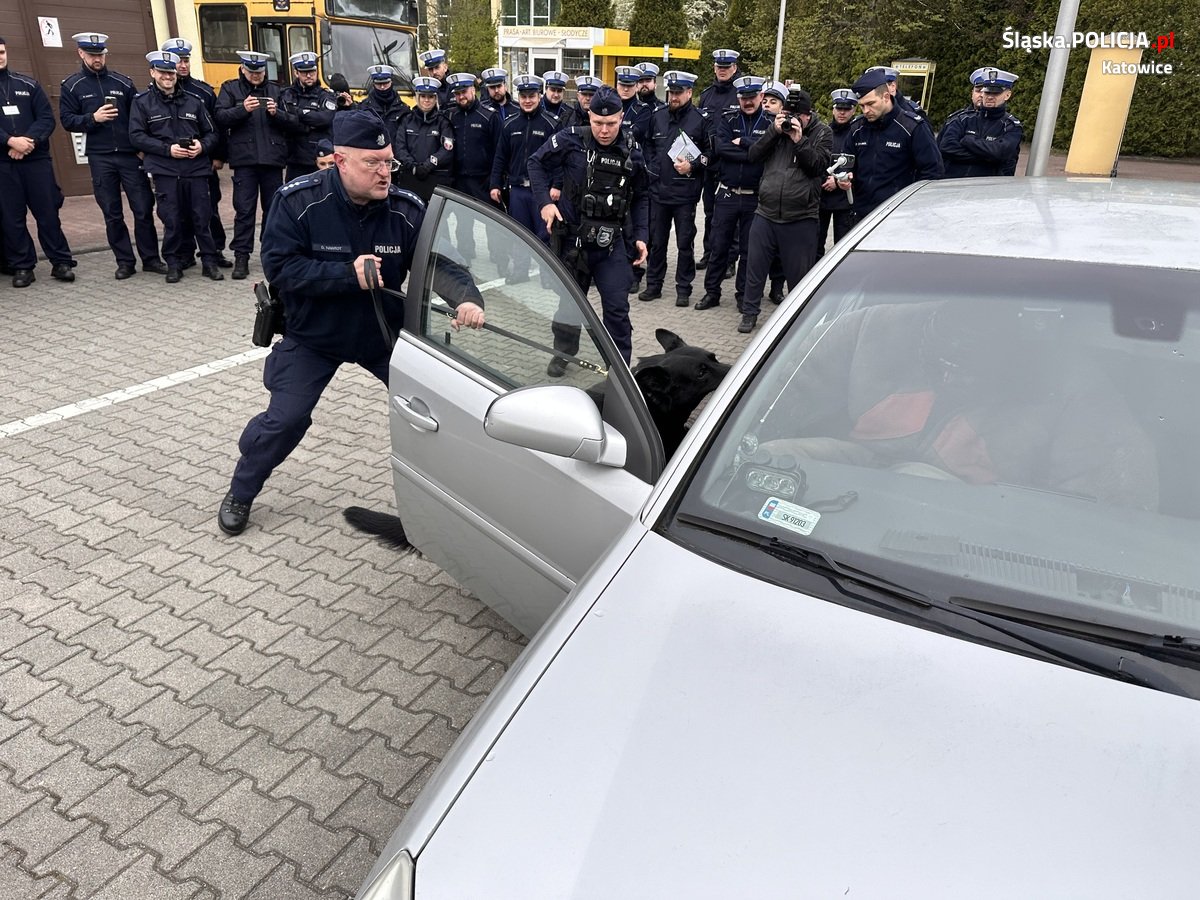 Katowiccy przewodnicy psów z pokazem w Szkole Policji 48