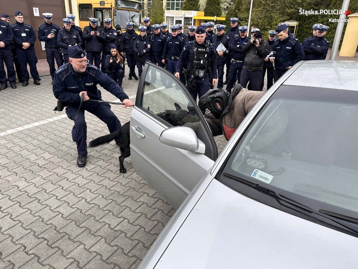Katowiccy przewodnicy psów z pokazem w Szkole Policji 49