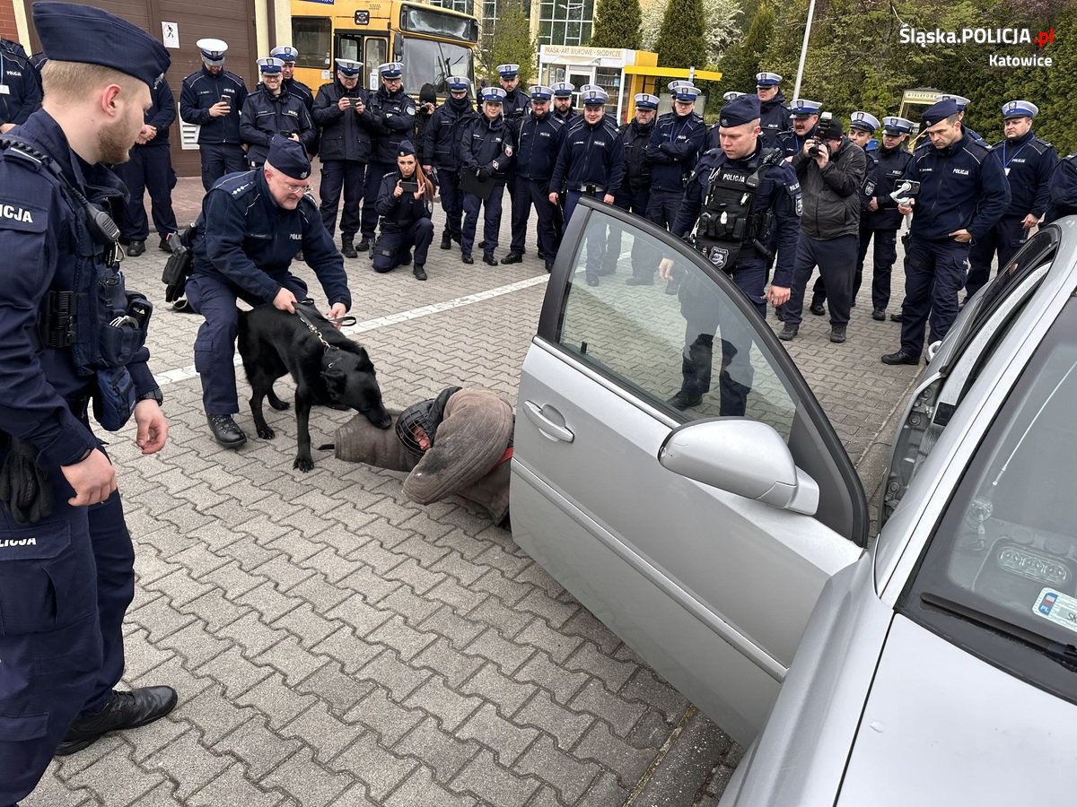Katowiccy przewodnicy psów z pokazem w Szkole Policji 50