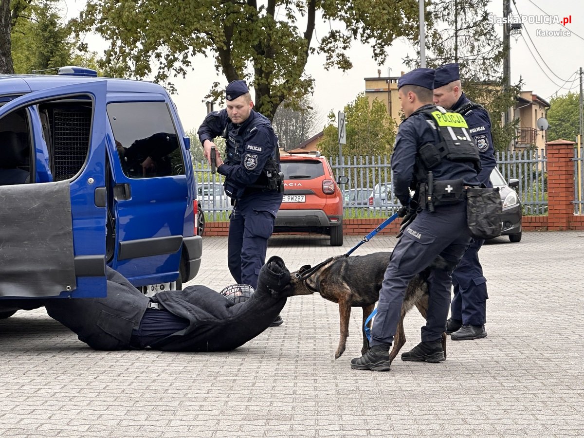 Katowiccy przewodnicy psów z pokazem w Szkole Policji 59
