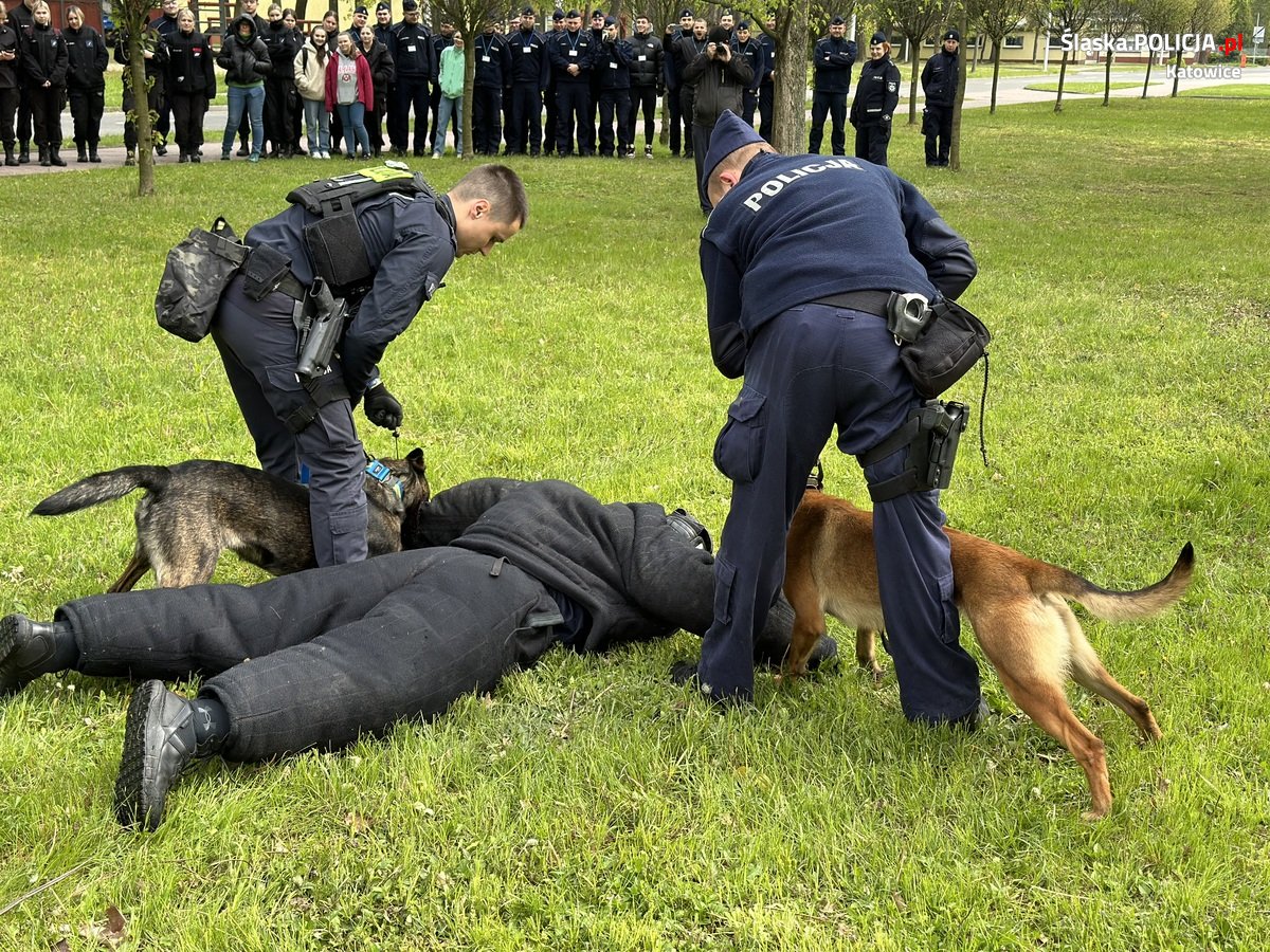Katowiccy przewodnicy psów z pokazem w Szkole Policji 67