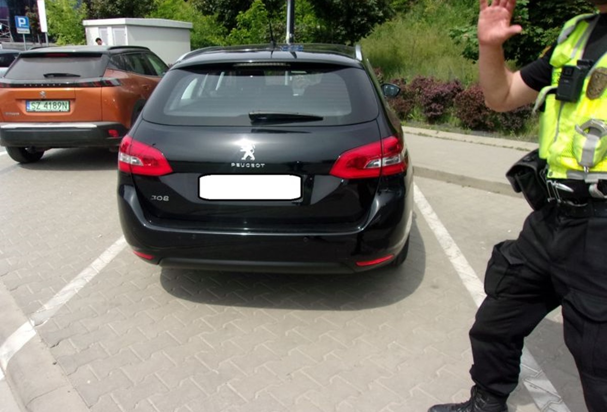 Mistrzowie parkowania w Katowicach w akcji. Straż miejska podsumowuje ubiegły tydzień 17