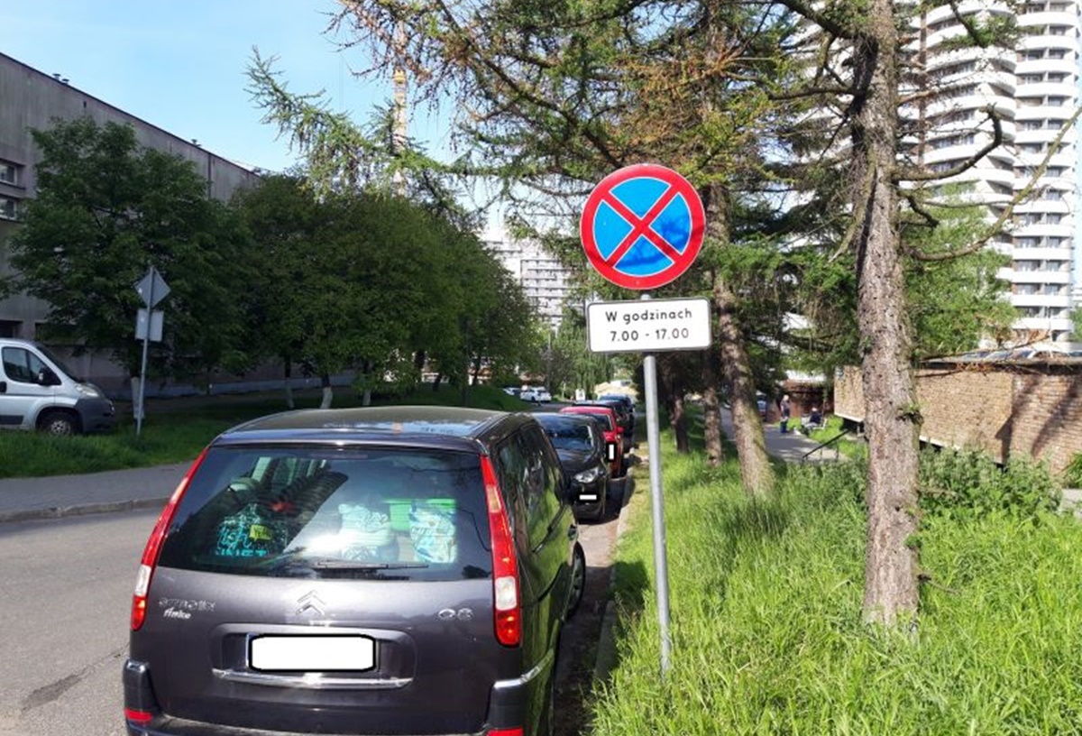 Mistrzowie parkowania w Katowicach w akcji. Straż miejska podsumowuje ubiegły tydzień 27