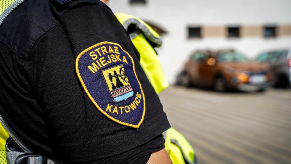 Bójka, kradzież i pomoc bezdomnym. Pracowity dzień strażników miejskich