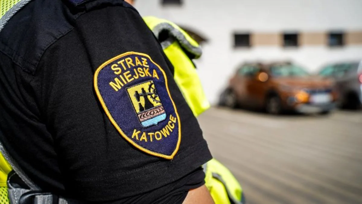 Bójka, kradzież i pomoc bezdomnym. Pracowity dzień strażników miejskich