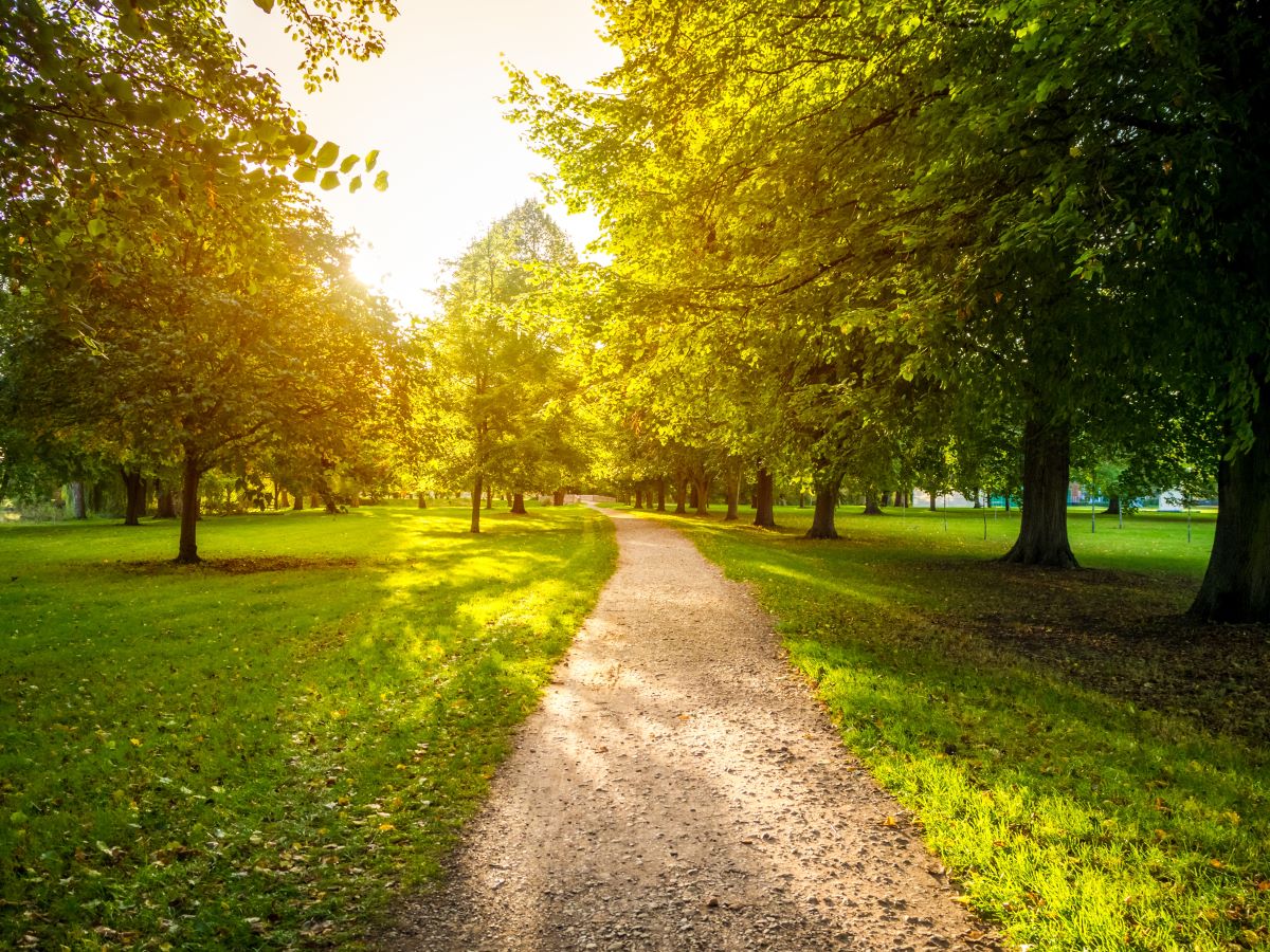 Zielone spacery z Witoldem Szwedkowskim