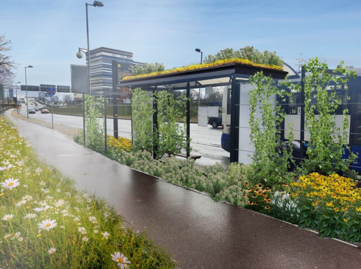 W Katowicach powstaną kolejne cztery zielone przystanki!