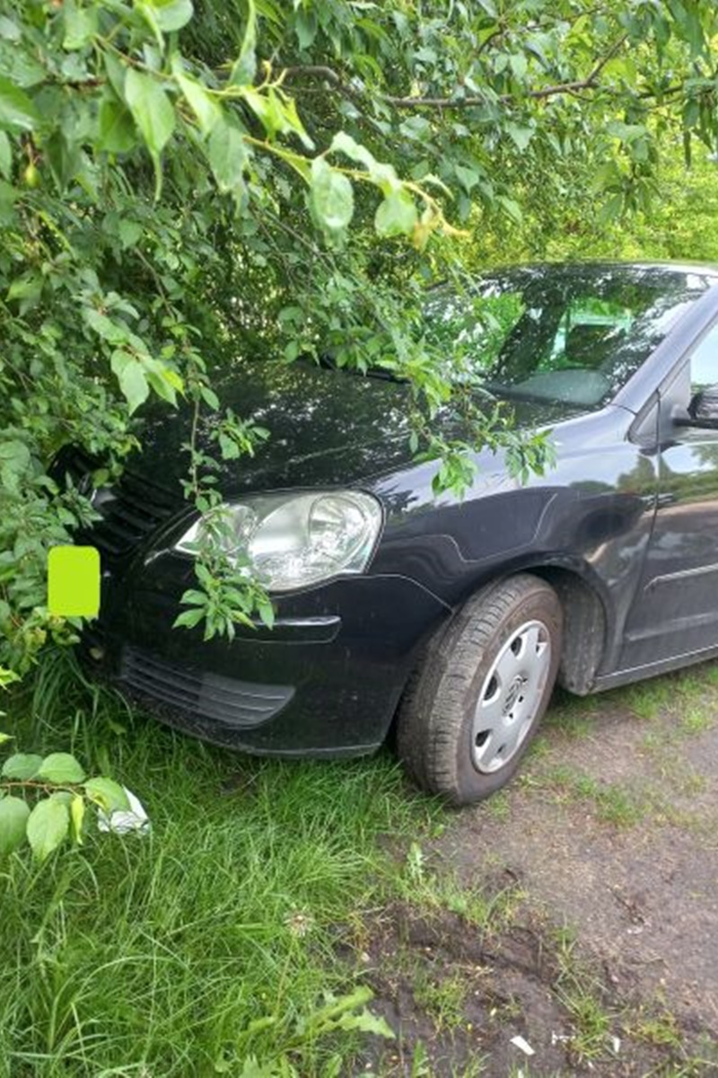 Mistrzowie Parkowania 20-26 maja 10