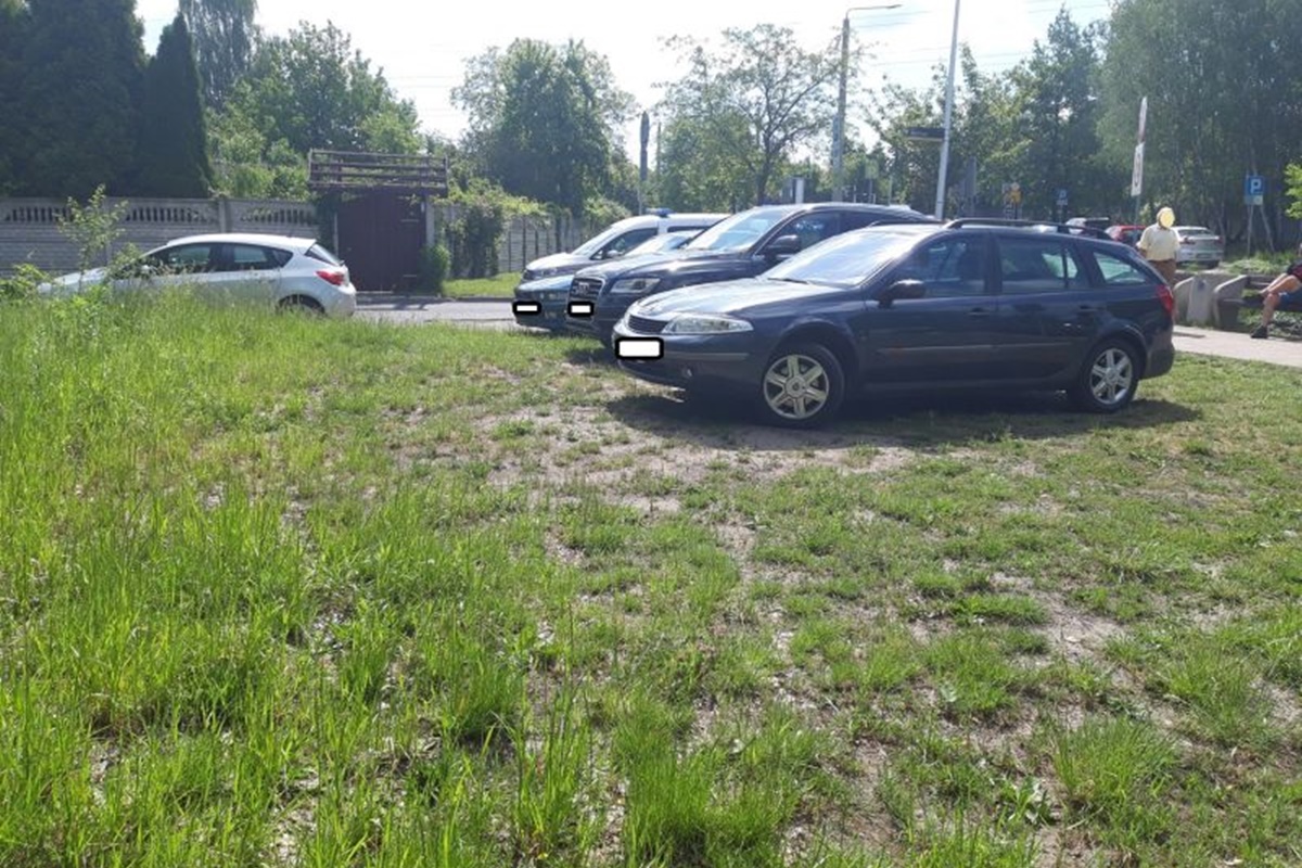 Mistrzowie Parkowania 20-26 maja 13