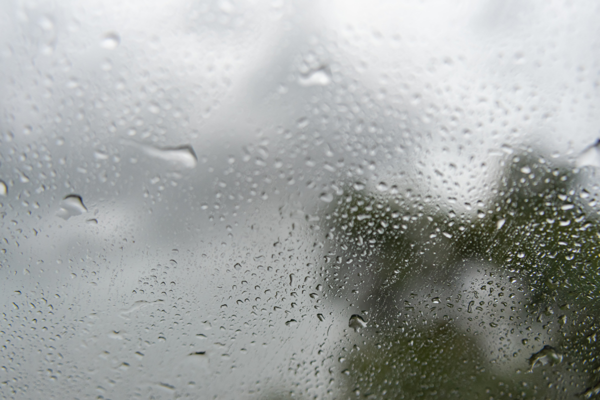 5 domowych sposobów na pozbycie się pleśni