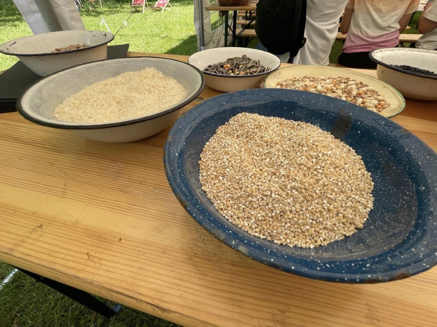 ETNOzmysły w chorzowskim skansenie za nami! 1