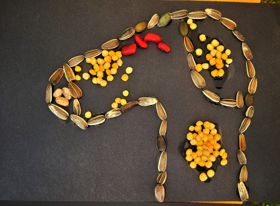 ETNOzmysły w chorzowskim skansenie za nami! 29