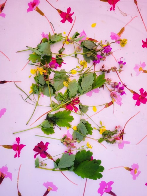 ETNOzmysły w chorzowskim skansenie za nami! 57