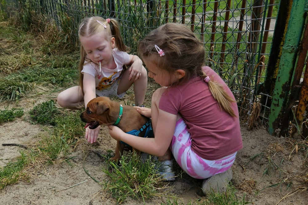 Pierwsze PSIEchadzki po Żabich Dołach za nami!