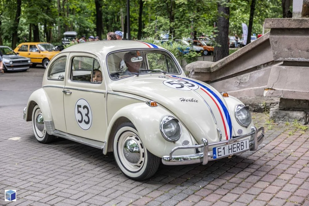 Gratka dla miłośników motoryzacji. Za nami motoryzacyjny piknik rodzinny!