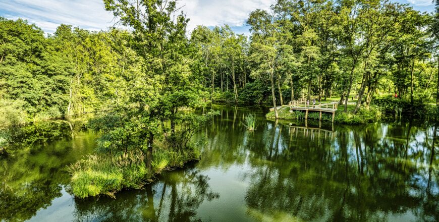 Majówka na łonie natury w zabrzańskim Geoparku!